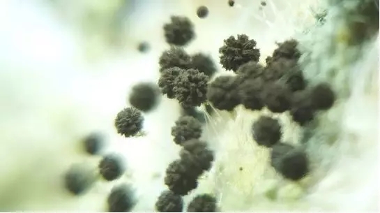 4.webp.jpg 4.webp.jpg